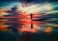 discover your life purpose